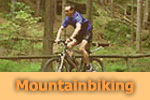 Guided mountain bike tours in Saxon Switzerland